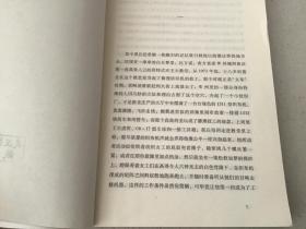 布偶