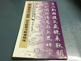 历代名碑名帖书法基础教程·胆巴碑技法与临创 赵孟頫楷书精要精练