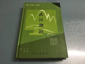 武汉湖泊