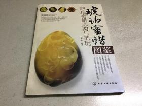 琥珀蜜蜡图鉴： 琥珀蜜蜡选购与把玩