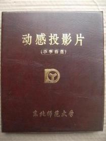 动感投影片(小学自然)存39张 [天气是经常变化的 放大镜的会聚作用 人们利用反射镜做事情 太阳和方向 水域的污染 地球引力的方向 地面上的水总是向低处流 水的沸腾 风的形成实验 叶的蒸腾-光合作用 茎的输导作用 室内空气对流 太阳的热辐射 雨的形成 水在自然界里的循环 空气的污染 声音的传播 耳朵的科学 食物的消化吸收 血液循环示意图 食物链 通信卫星传递信息 火山的喷发