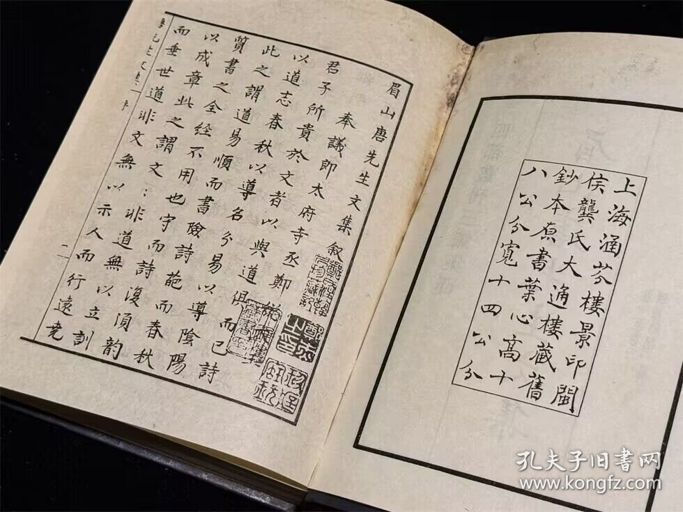 眉山唐先生文集（四部丛刊三编 64 精装 全一册）