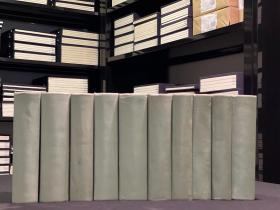 中国新诗库(精装  全10册  LV)