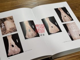 殷墟小屯村中村南甲骨（8开精装 全二册）