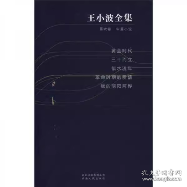 黄金时代 三十而立 似水流年 革命时期的爱情 我的阴阳两界（王小波全集 第六卷 18开 全一册）