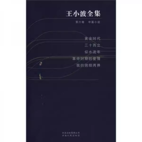 黄金时代 三十而立 似水流年 革命时期的爱情 我的阴阳两界（王小波全集 第六卷 18开 全一册）