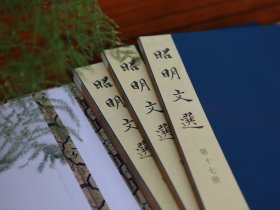 宋赣州州学刻昭明文选(16开线装 全16函64册)