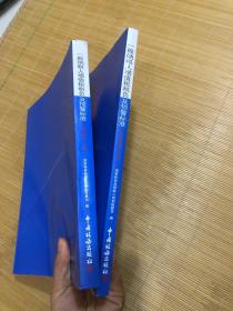 一般纳税人增值税销售额税负与预警标准（2020年版）（上下册）