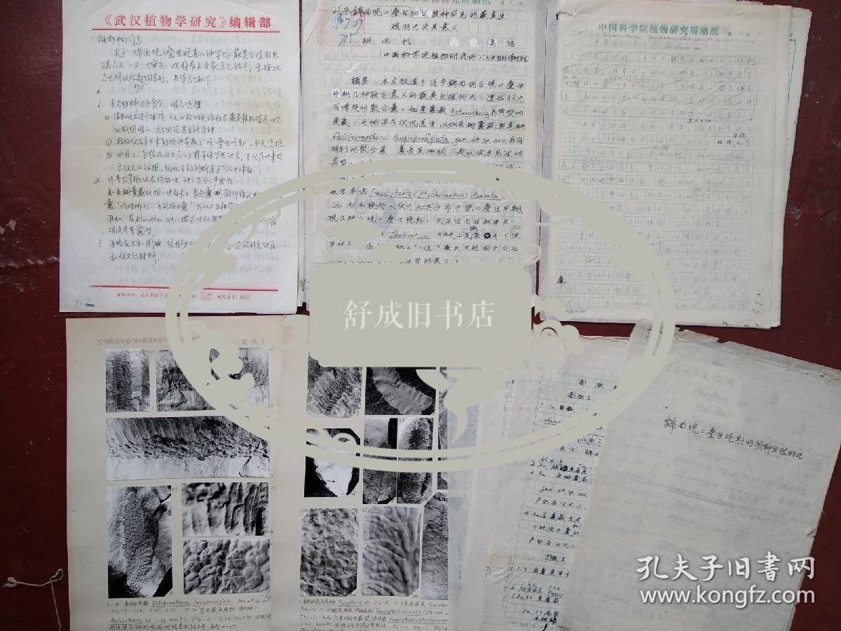 武汉植物学研究  至  胡雨帆 信札 及 辽宁锦西地区晚二叠世几种罕见的蕨类生殖羽片稿本 附照片版