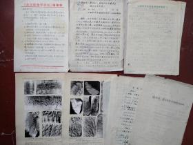武汉植物学研究  至  胡雨帆 信札 及 辽宁锦西地区晚二叠世几种罕见的蕨类生殖羽片稿本 附照片版