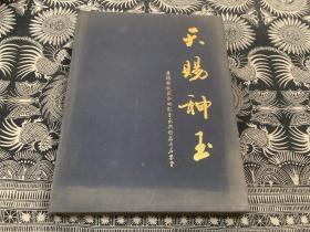 天賜神玉 唐傅林收藏和田觀賞玉典精品奇石鑒賞：天賜神玉（布面精裝）