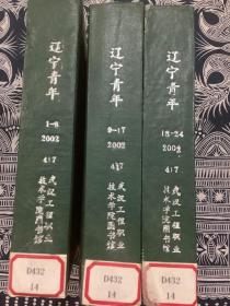 辽宁青年   2002【1-24缺14】   合订本    三本合售