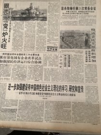 人民日报 1994年12月22日 2张8版（人大常委会第十一次会议在京举行）（进一步加强建设有中国特色社会主义理论的学习 研究和宣传）（一手抓维护治安 一手抓队伍建设）