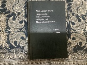 Non-linear Wave Propagation with Applications to Physics and Mngnetohydrodynamics（非线性波传播）精装