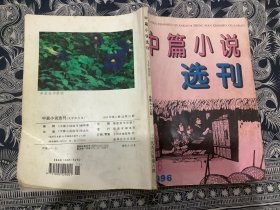 中篇小说选刊1996年第6期