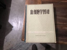 血细胞学图谱