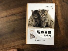 选猫养猫全攻略