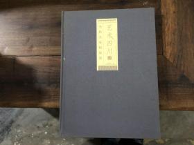 当代名家精品集——艺术四川