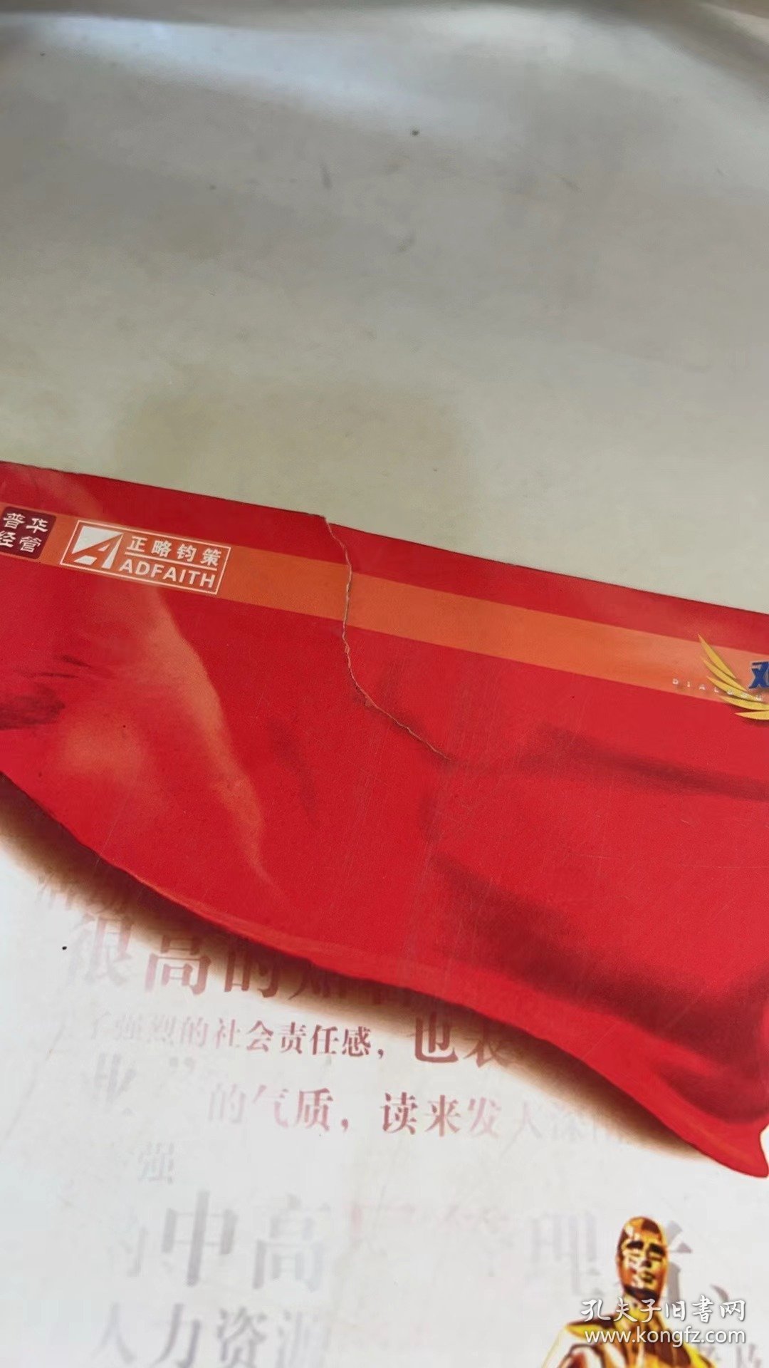 领袖气质：2007 CCTV年度雇主调查