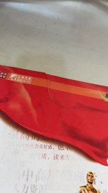 领袖气质：2007 CCTV年度雇主调查