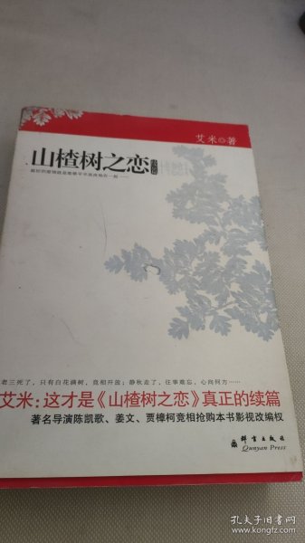 山楂树之恋·续篇