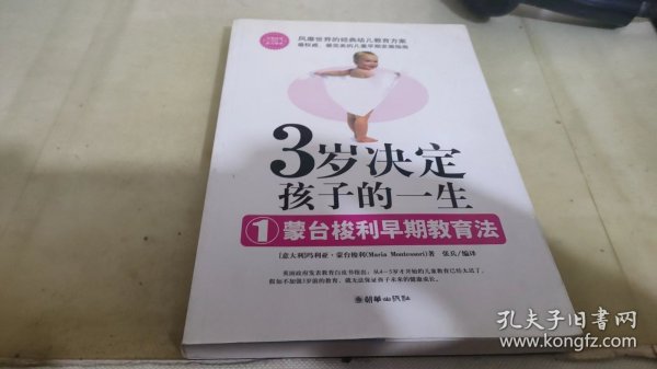 3岁决定孩子的一生1：蒙台梭利早期教育法