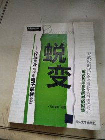 蜕变：传统企业如何向电子商务转型