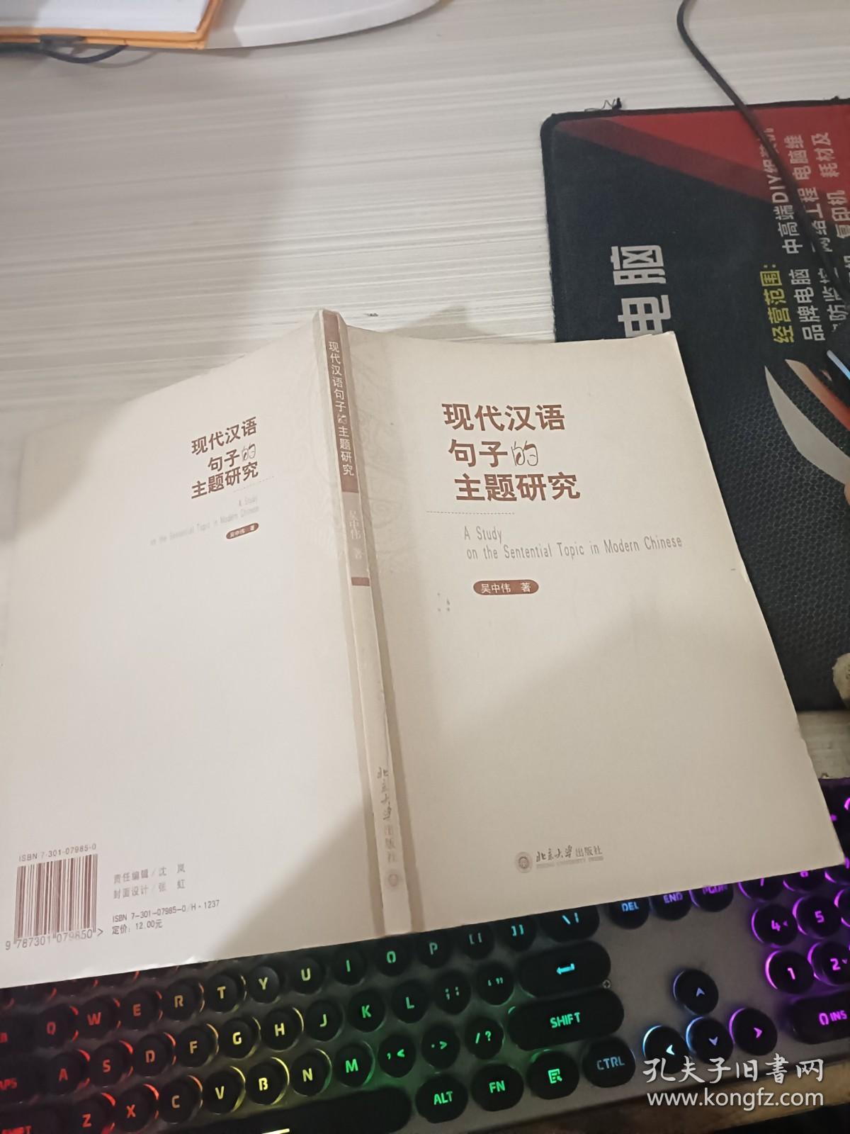 现代汉语句子的主题研究