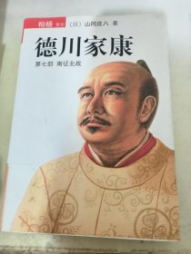 德川家康（第七部）：南征北战