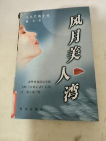 风月美人湾:现代情感小说