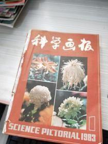 科学画报 1983 1-12合订本 缺8