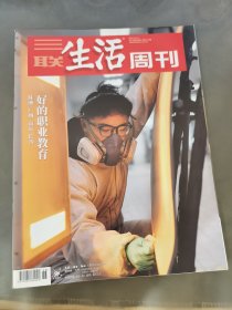 三联生活周刊 2022 46