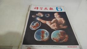 科学画报1982 6