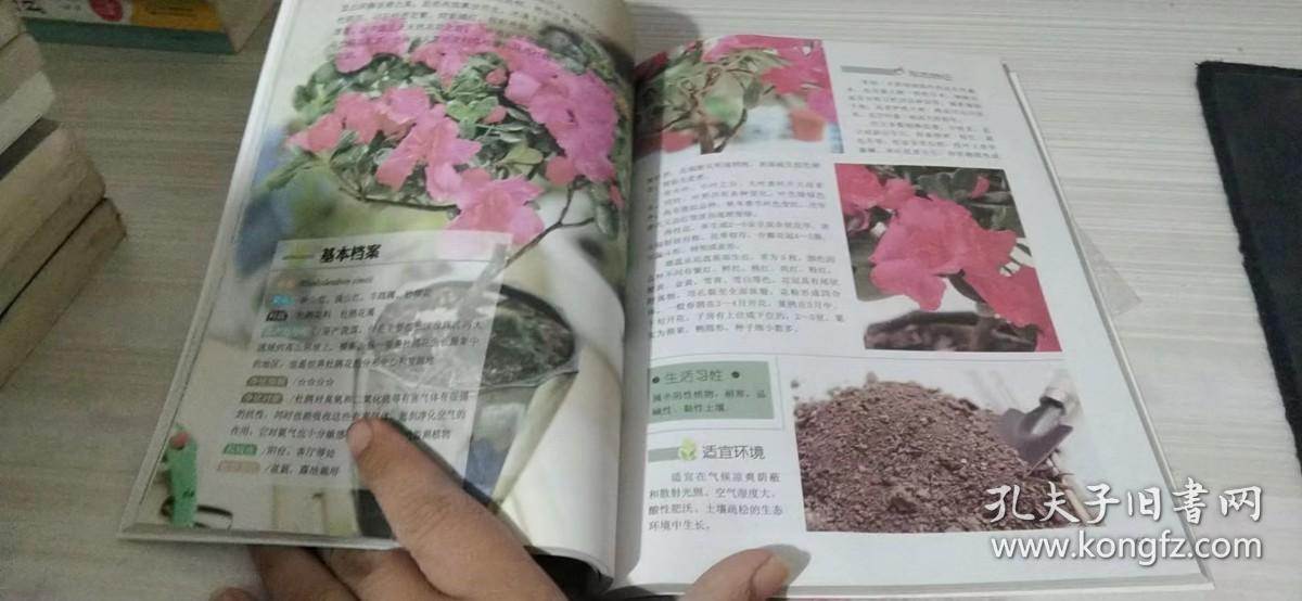 家庭健康植物栽培附光盘