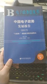 中国电子政务发展报告（2017）