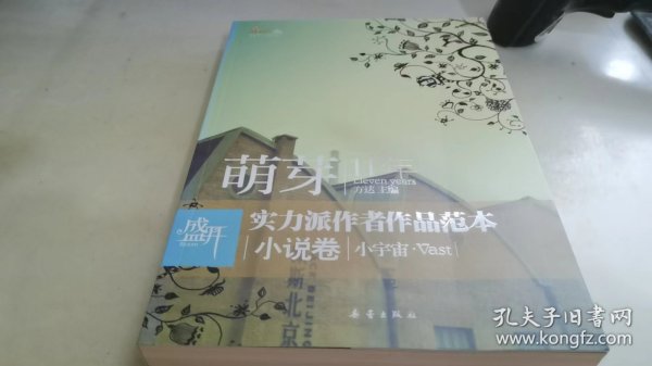 盛开萌芽11年实力派作者作品范本小说卷：小宇宙