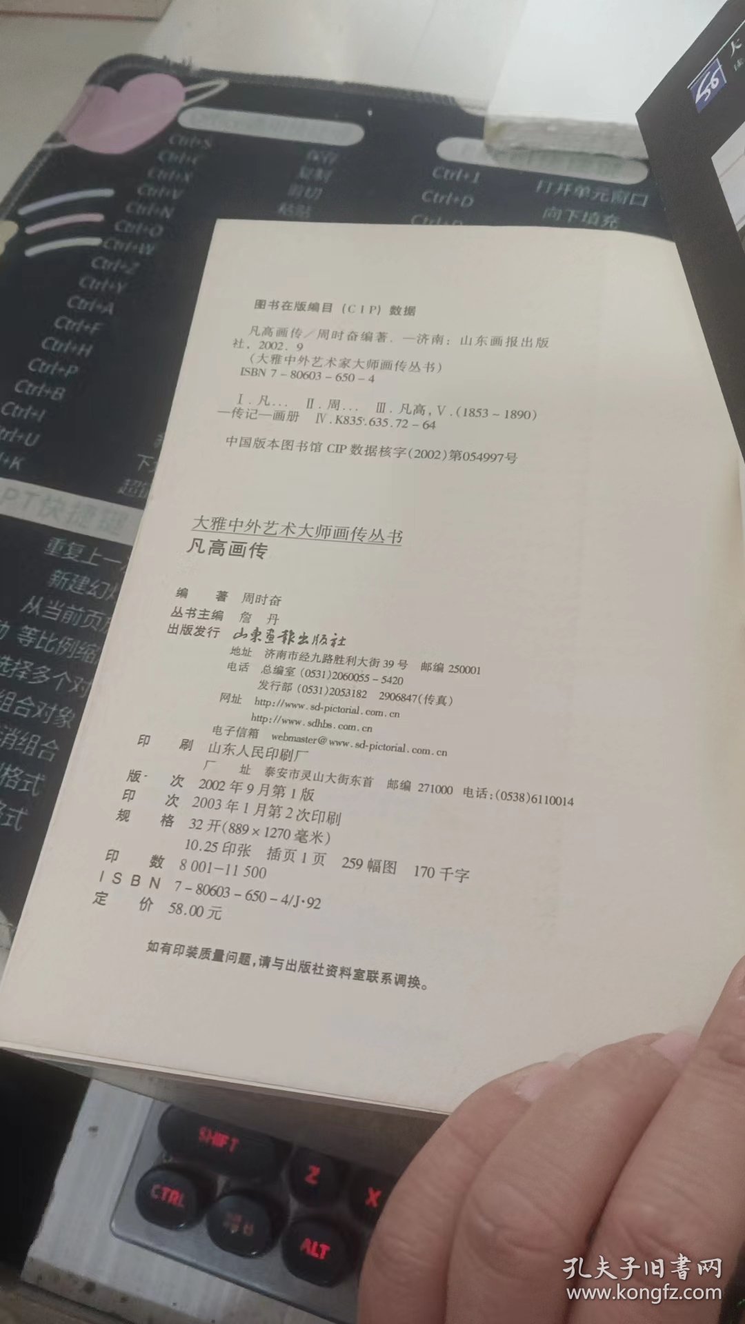 点击查看原图 凡高画传