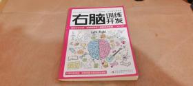 天才大脑潜能开发全5册 聪明人都在看的大脑训练魔法书级记忆术 逻辑思维训练 思维导图 左脑训练开发