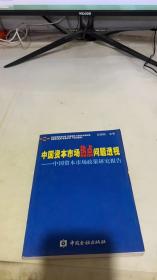 中国资本市场热点问题透视：中国资本市场政策研究报告