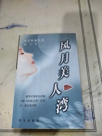 风月美人湾:现代情感小说