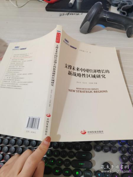 国务院发展研究中心研究丛书2015：支撑未来中国经济增长的新战略性区域研究