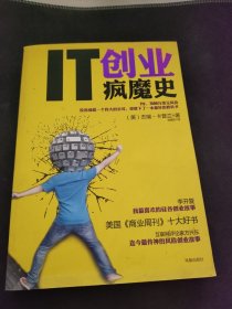 IT创业疯魔史