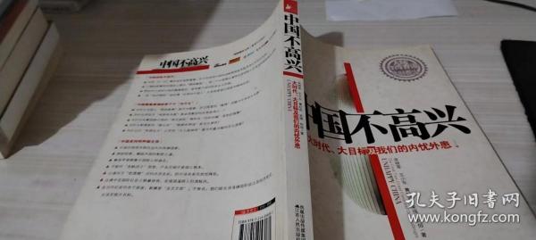 中国不高兴：大时代大目标及我们的内忧外患