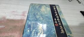 中華中青年國畫名家集萃