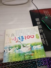 写真唐小诗100首