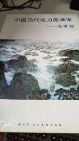 中国当代实力派画家王梦湖