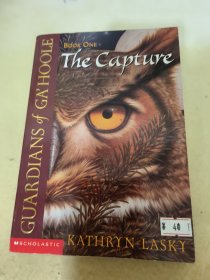 The Guardians of Ga'hoole #1: The Capture  猫头鹰王国#01：暗算