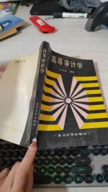 高等審計(jì)學(xué)
