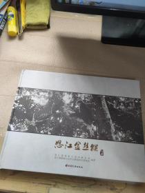 怒江金絲猴圖冊