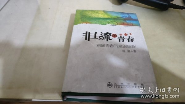 非主流的青春：别样青春气息的旅程